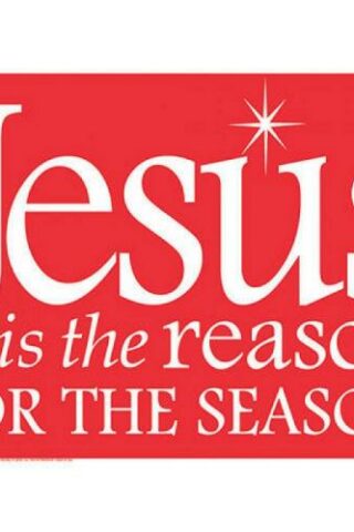 042516920014 Jesus Is The Reason Yard Sign