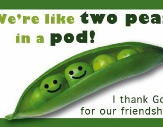 6006937089501 Were Like Two Peas In A Pod