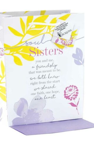 603799107051 Soul Sisters Gift Bag