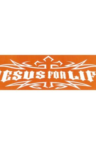 603799213264 Jesus For Life Magnetic Bumper Sticker