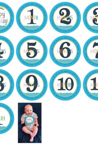 603799316620 Noahs Ark Two By Two Baby Milestone Stickers