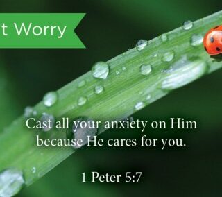 657664864464 Dont Worry Pass Along Scripture Card