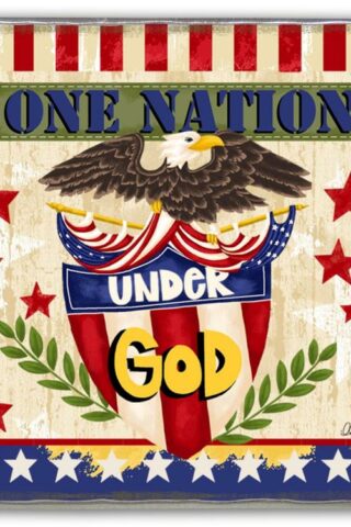 785525284394 1 Nation Under God Visor Clip