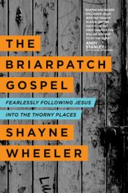 9781414372303 Briarpatch Gospel