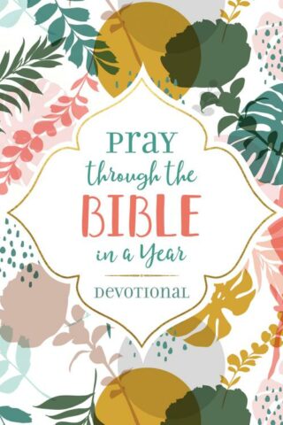 9781643527277 Pray Through The Bible In A Year Devotional