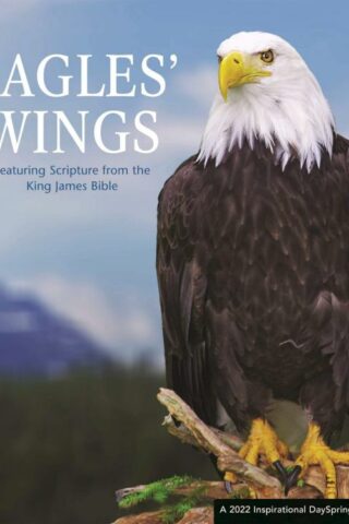 9781648700125 On Eagles Wings 2022 Wall Calendar