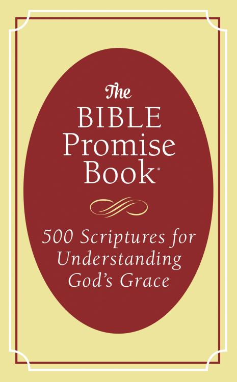 9781683228882 Bible Promise Book 500 Scriptures For Understanding Gods Grace