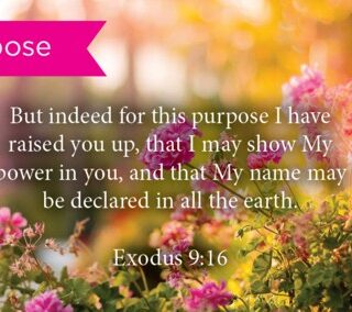 657664864556 Purpose Pass Along Scripture Card