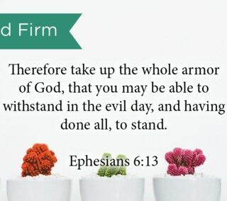 657664864563 Stand Firm Pass Along Scripture Card