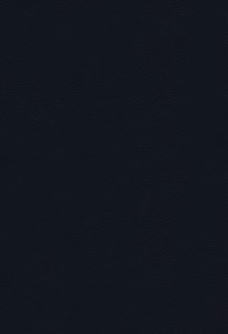 9780310459552 Thompson Chain Reference Bible Large Print 1995 Text Comfort Print