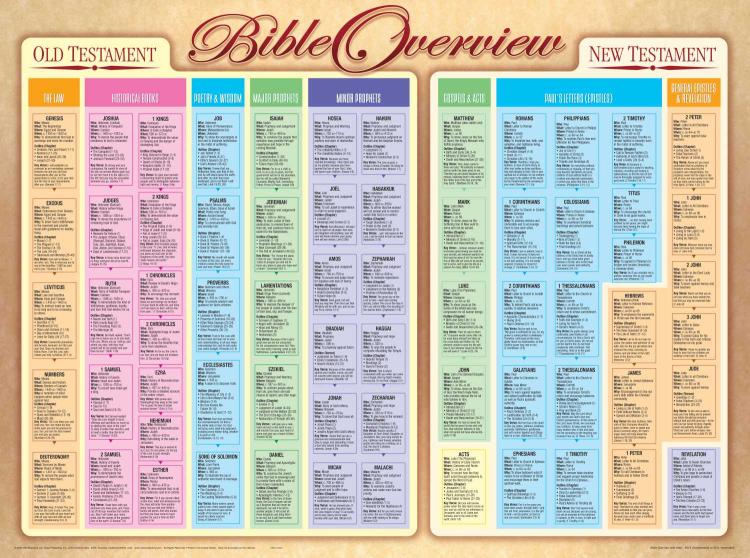 9781890947705 Bible Overview Wall Chart Laminated
