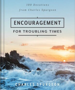 9798891512337 Encouragement For Troubling Times