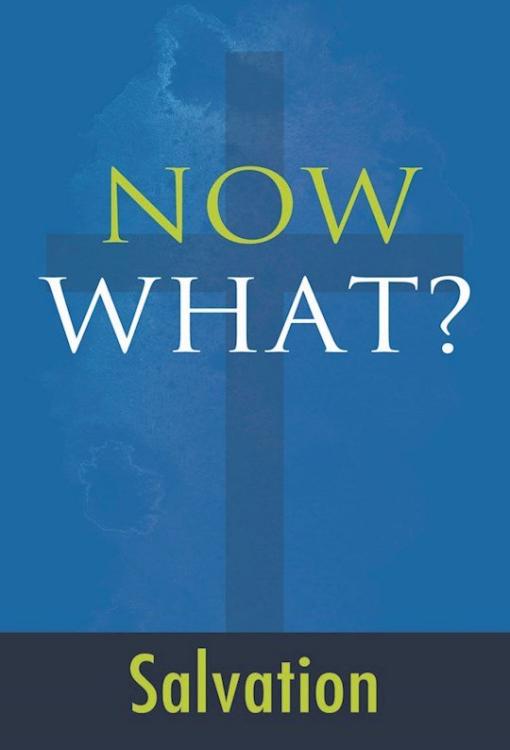 9781607316305 Now What Salvation