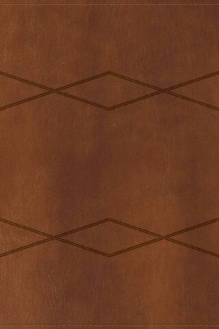 9781087783499 Holman Study Bible