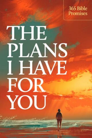 9798400506185 Plans I Have For You