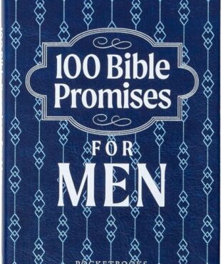 9781424571703 100 Bible Promises For Men
