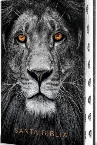 9781644737705 Handy Size Large Print Bible