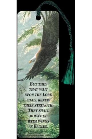 603799018036 Morning Flight Tassel Bookmark